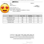 Get TEF certificate online