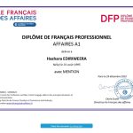 Get DFP certificate online