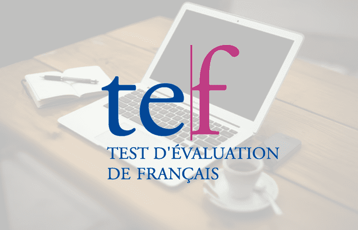 TEF certificate